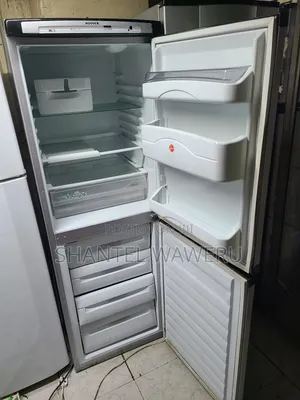 Bottom Freezer / Fridge Sanyo