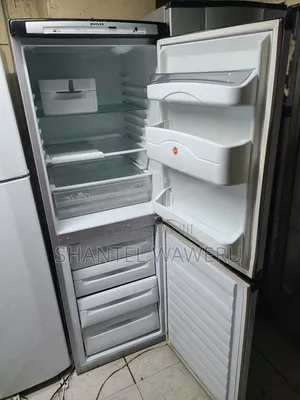 Bottom Freezer / Fridge Sanyo