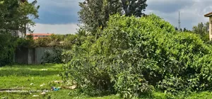 Commercial 1⁄4 Plot for Sale in Kapsoya Eldoret