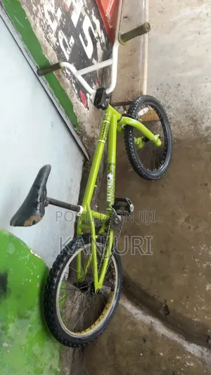 Eco Colour BMX