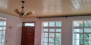 Double Window Powder Coated Black Curtain Rods