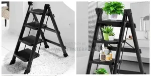 Folding Ladder