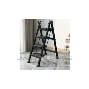 Folding Ladder