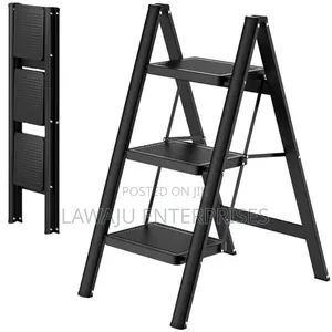 Folding Ladder