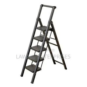 Folding Ladder