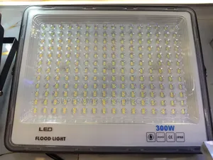 Ac Floodlight 300wts