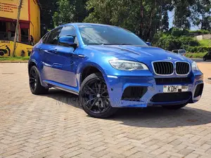 BMW X6 M Sport 2013 Blue