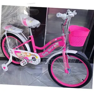 Size 20 " Lady Bird Bicycle