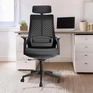 Executive Ergonomic Office Seat – Mesh Finish