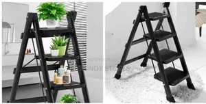 Foldable Ladder