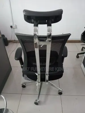 Orthopedic Reclining Executive Office Chair