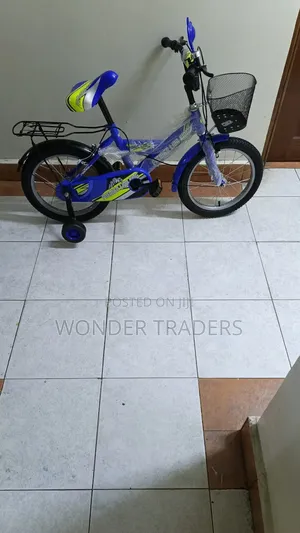 Kids Bicycle/ Lion King Size 16