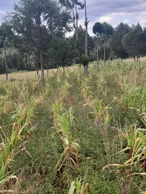 5 Acres Land for Sale in Nanyuki