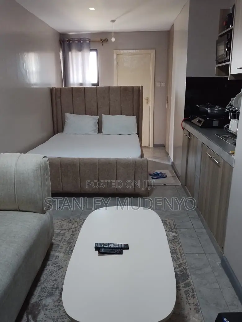 Studio Air BNB at Tsavo Fedha