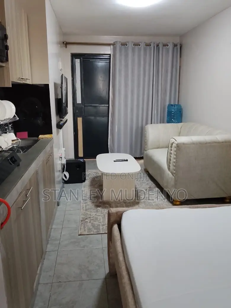Studio Air BNB at Tsavo Fedha