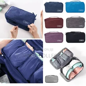 Portable Undergarments Organizer Bags