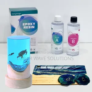 Fast Curing 500g Epoxy Resin