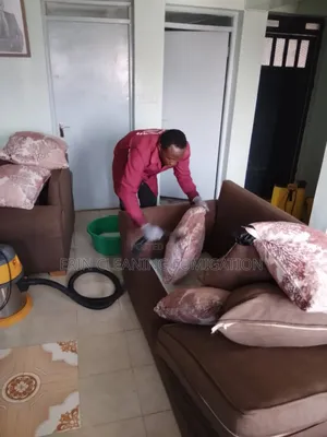 Sofa , Mattress and Pest Control Bedbugs Cockroaches