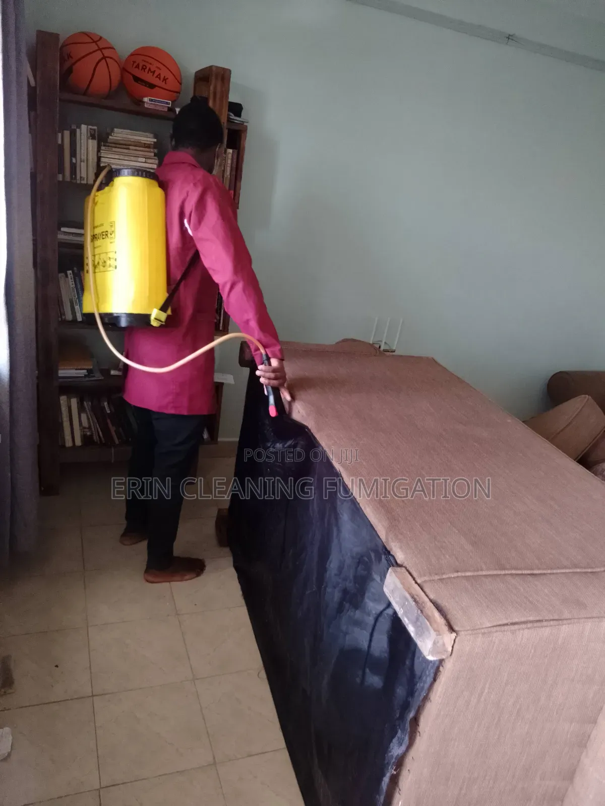 Cheap Super Cockroaches and Bedbugs Services
