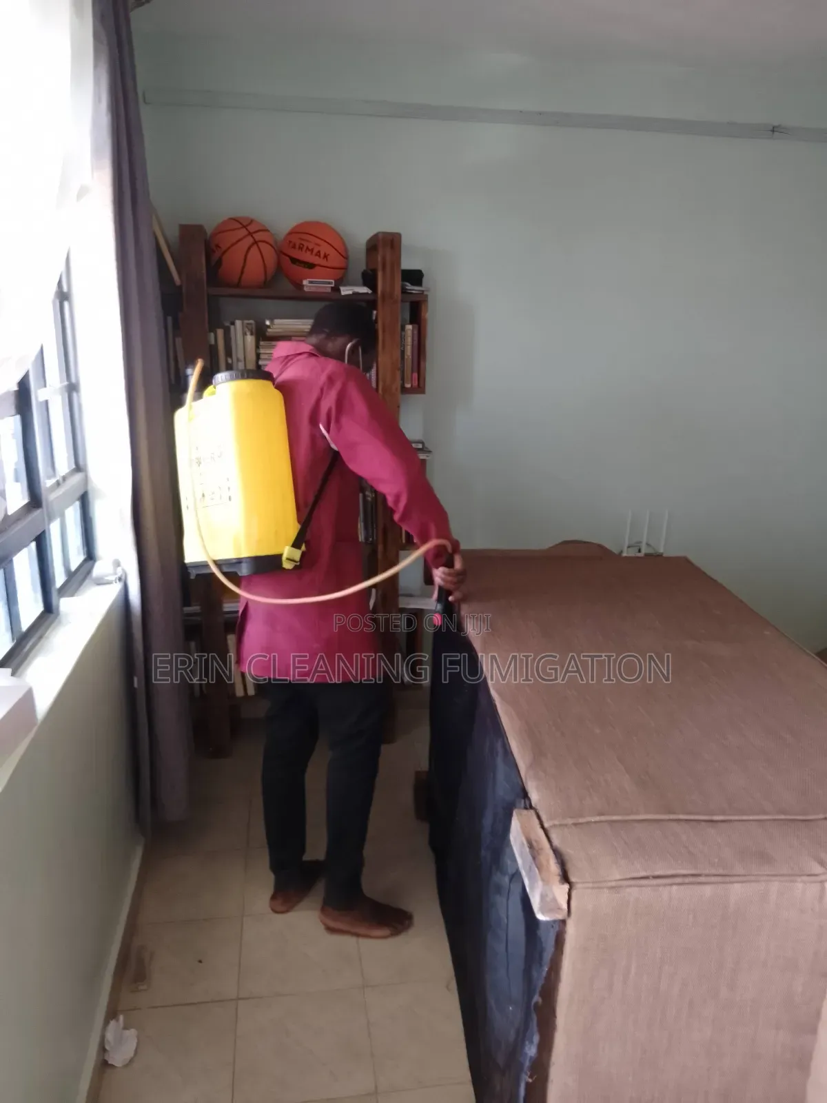 Best Pest Control Services Around