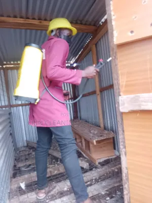 Cockroaches Bedbugs Experts Exterminators