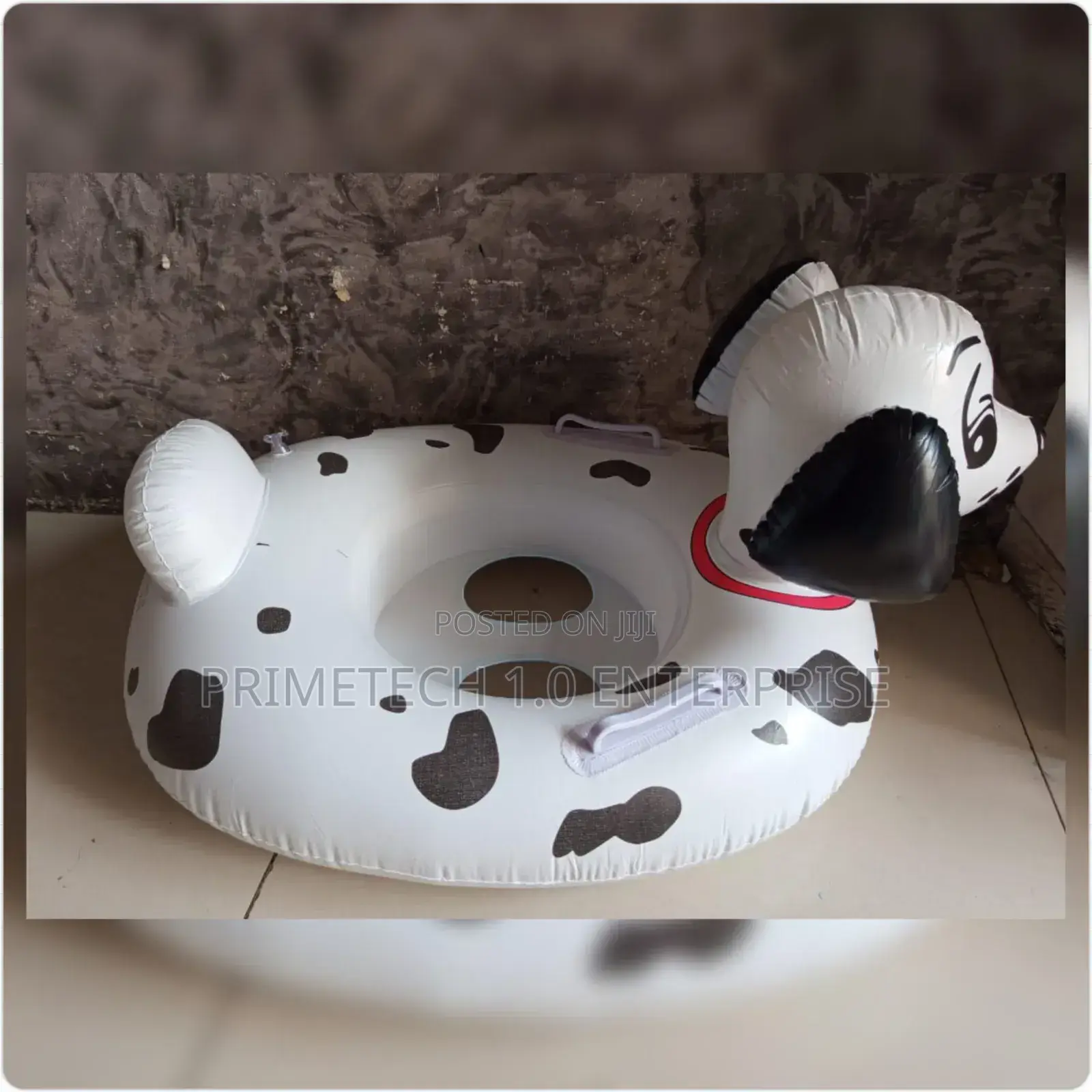 Ducks Kids Floater