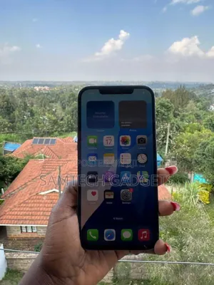 Apple iPhone 12 Pro Max 256 GB Blue