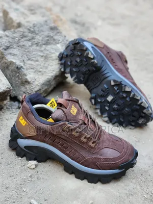 Coffee Brown Cat Sneakers