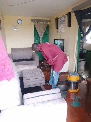 Affordable Sofa Cleaning With Approved Cleaners