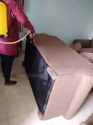 Fumigation/Bedbugs/Cockroaches Mosquitos