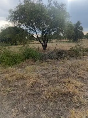 25 Acres At Kitengela Stage 26 Olooloitikoshi