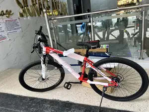 Premier Size 29 Adult Bike