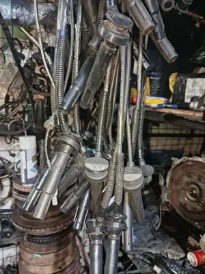 Oxygen Sensors
