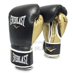 10oz Everlast Punching Gloves
