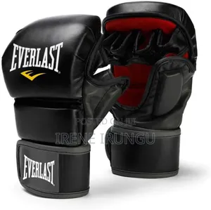 Boxing 12oz Everlast Gloves