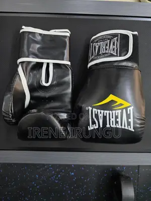 Everlast Boxing Gloves