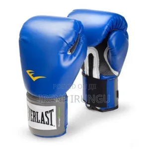 Blue Everlast Boxing Gloves