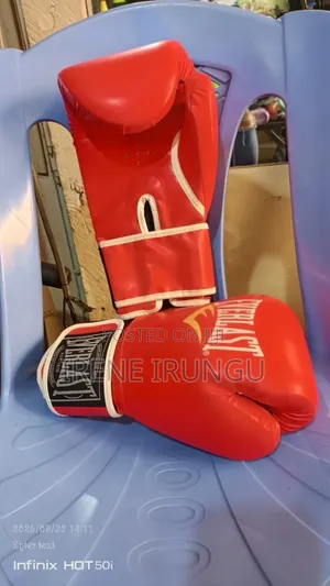 Adjustable Boxing Gloves+ Everlast Boxing Gloves
