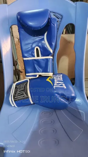 Workout Everlast Punching Gloves (Boxing Gloves