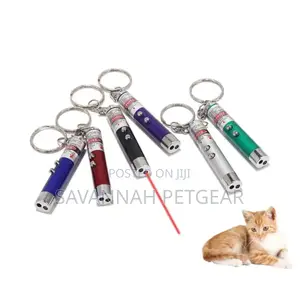 Laser Funny Cat 2 in 1 Red Laser Pointer Pen With White Led Light Toy