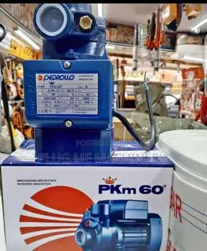 Pedrollo Water Pump 0.5hp/ Electric Pedrollo Booster Pump 0.5hp