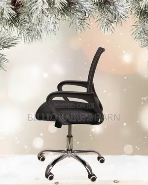 Orthopedic Secretarial Mesh Office Chair | Padded Armrests