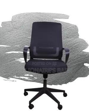 Adjustable Black Ergonomic Mesh Office Chair | Padded Armrests
