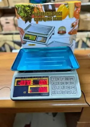 Acs 40 Armless Digital Weighing Scales