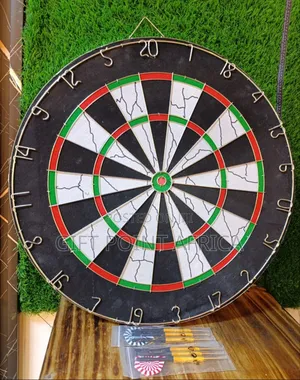 Professional Darts Board