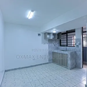 1bdrm Bedsitter in Patrick Mburu, Ruaka for rent