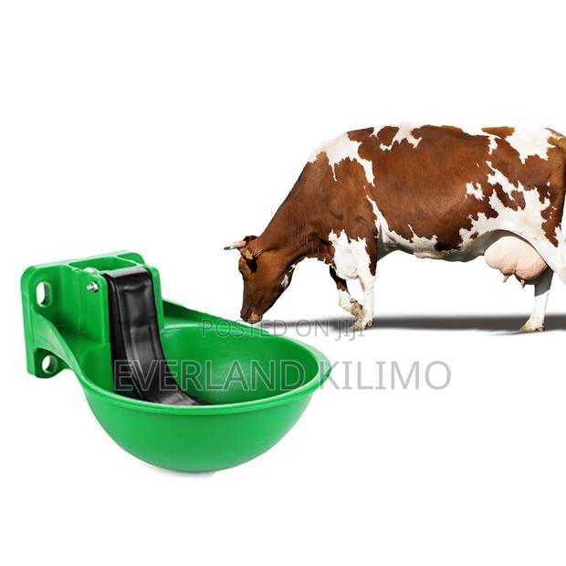 Mechanized Cow Drinker - main view
