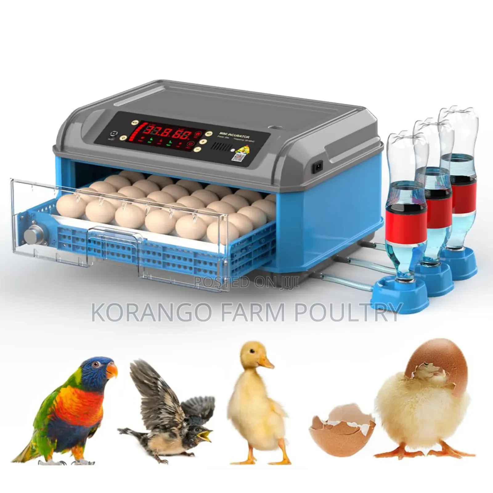 Automatic 68 Eggs Incubator