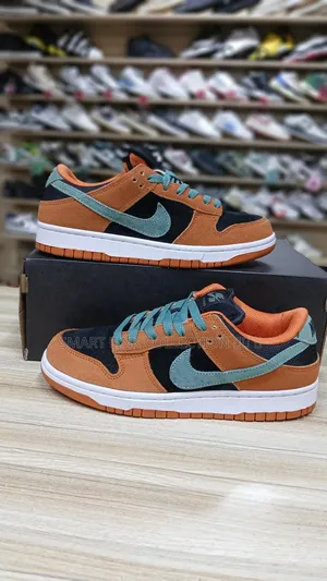 Nike Sb Leather Sneakers