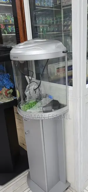 Small Curved Aquarium